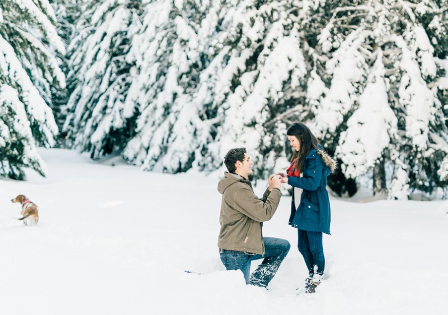 Romantic Winter Surprise Proposal by Something Minted Photography