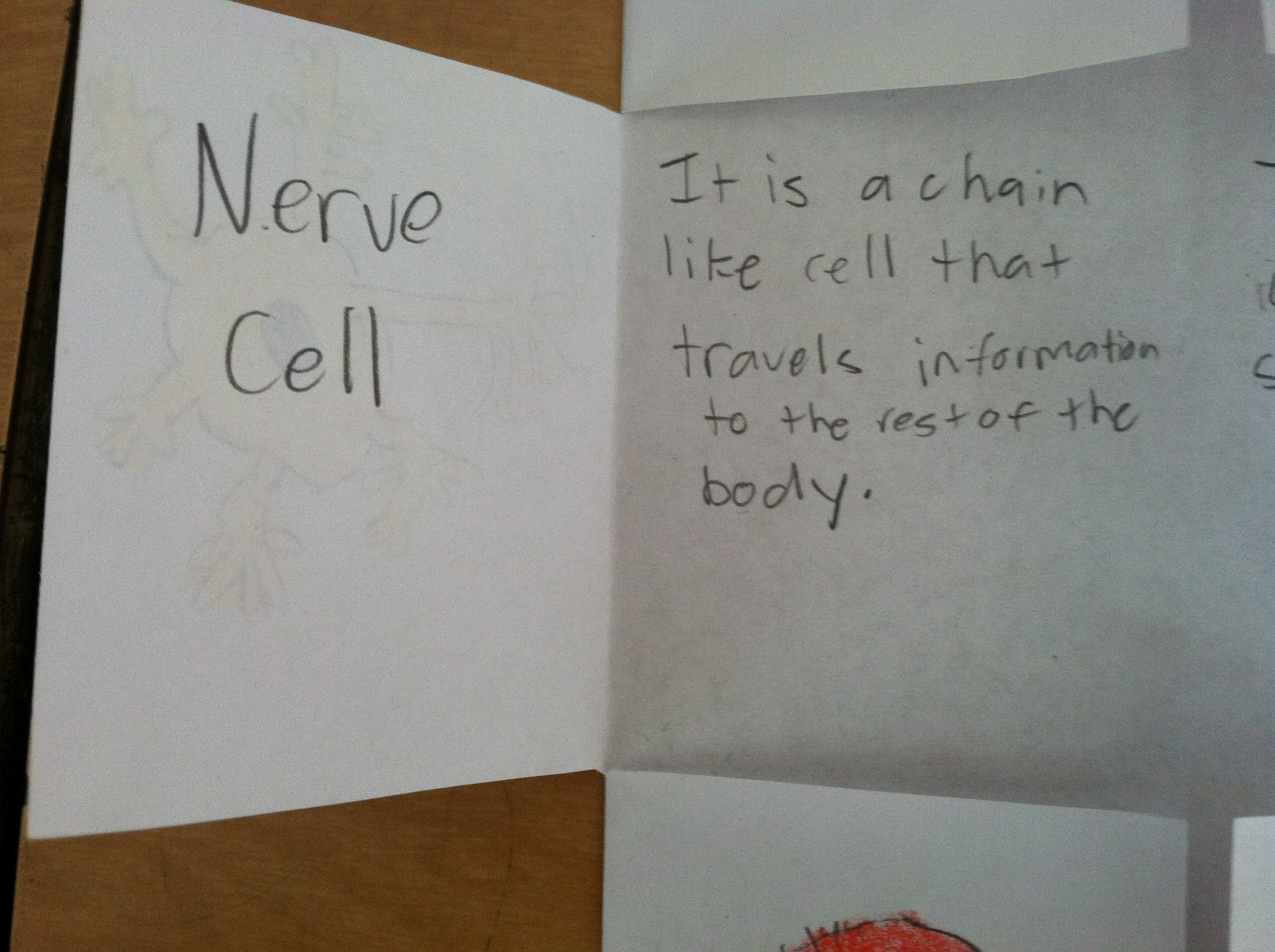 BrainPOP, Cells, a Foldable and a Plea... Teaching in Room 6