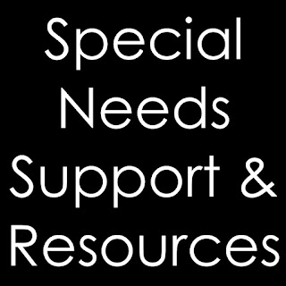 Special needs support and services