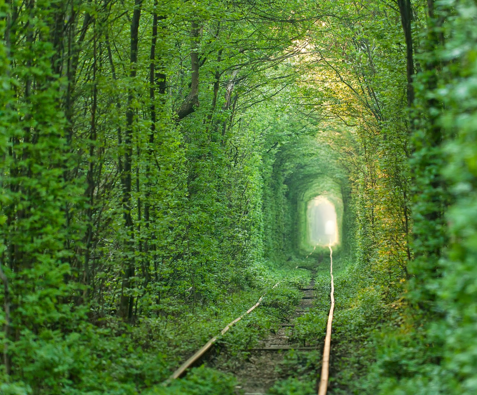 В петербурге нужно обязательно увидеть. Обязательно нужно увидеть. Стереокартинки непоседа. Социальная реклама в метро санкт петербурга. Обязательно нужно увидеть.
