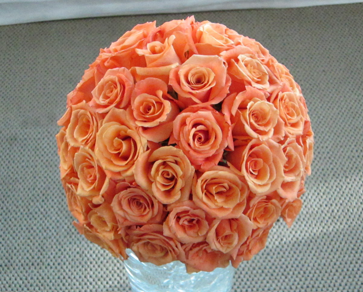 miracle roses