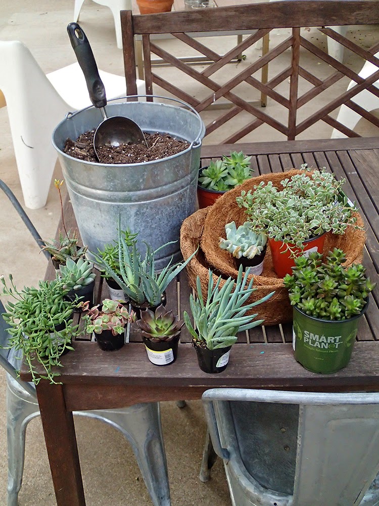 Carrie Fitzwater Designs Blog Vintage hanging basket for succulents