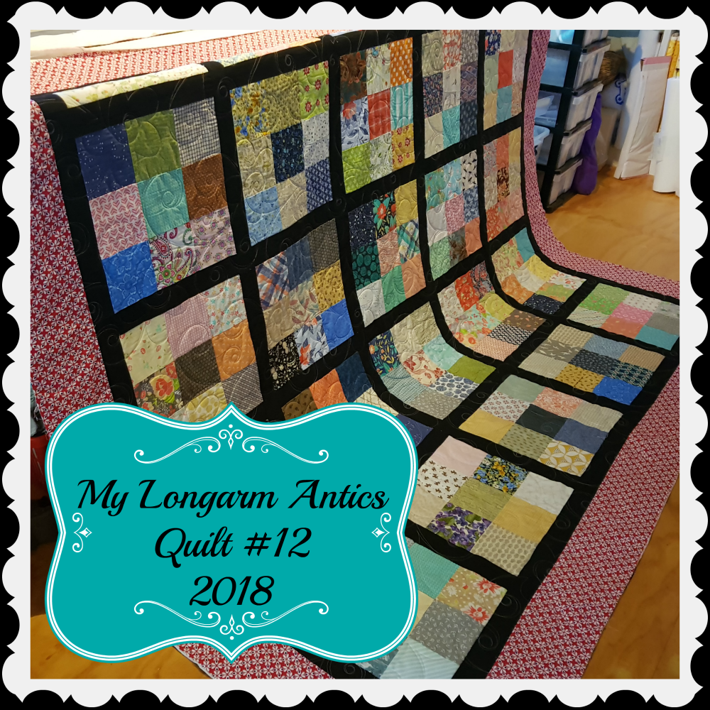 Darvanalee Designs Studio My Longarm Quilting Antics Quilt 12 2018