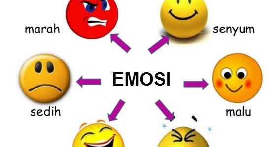 Pengertian Kecerdasan Emosi Contoh Dan Fungsi Emotional Intelligence ...
