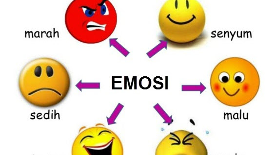 Hati Manusia: Rahasia di Balik Perasaan dan Emosi yang Membentuk Kepribadian Kita