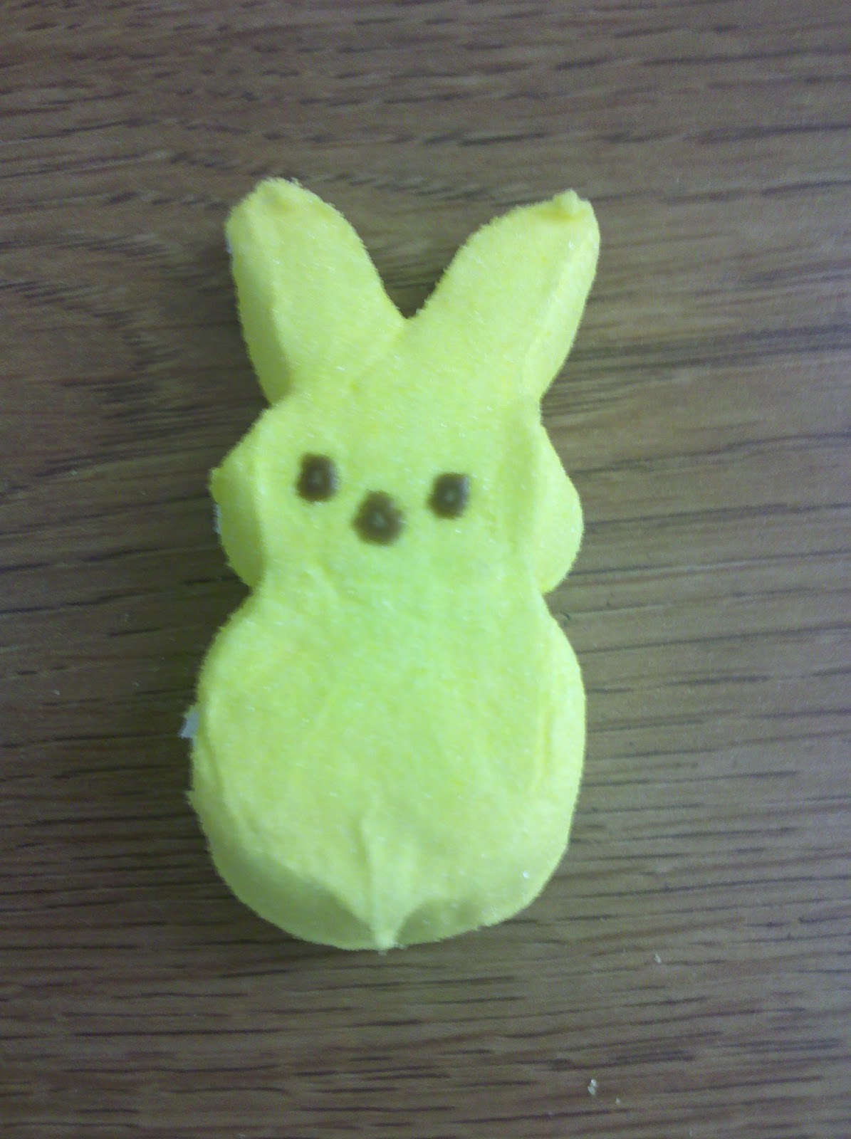 Vicki Leigh in Washington, DC Haiku for Marshmallow Bunny Peep