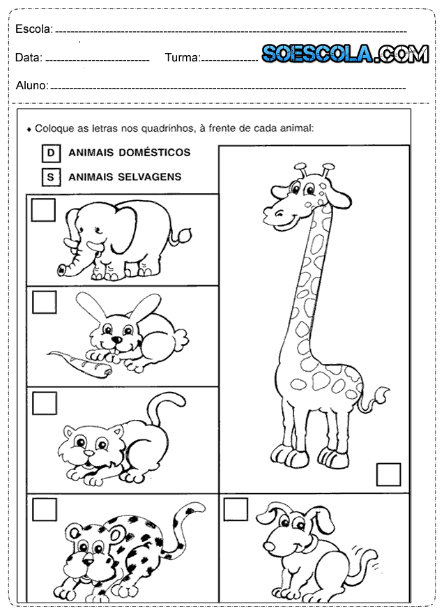 atividade de ciências 1 ano os animais sÓ escola