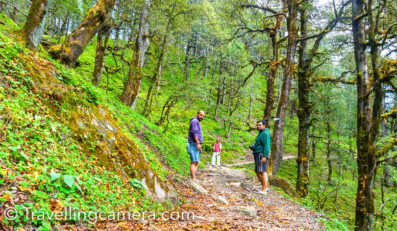 Trekking: Tirthan Valley offers several trekking routes that offer stunning views of the surrounding mountains and valleys. The most popular trekking route is the trek to the Great Himalayan National Park, which is a UNESCO World Heritage site. Other popular trekking routes include the Jalori Pass trek, Rakhundi top trek, and Serloskar Lake trek.