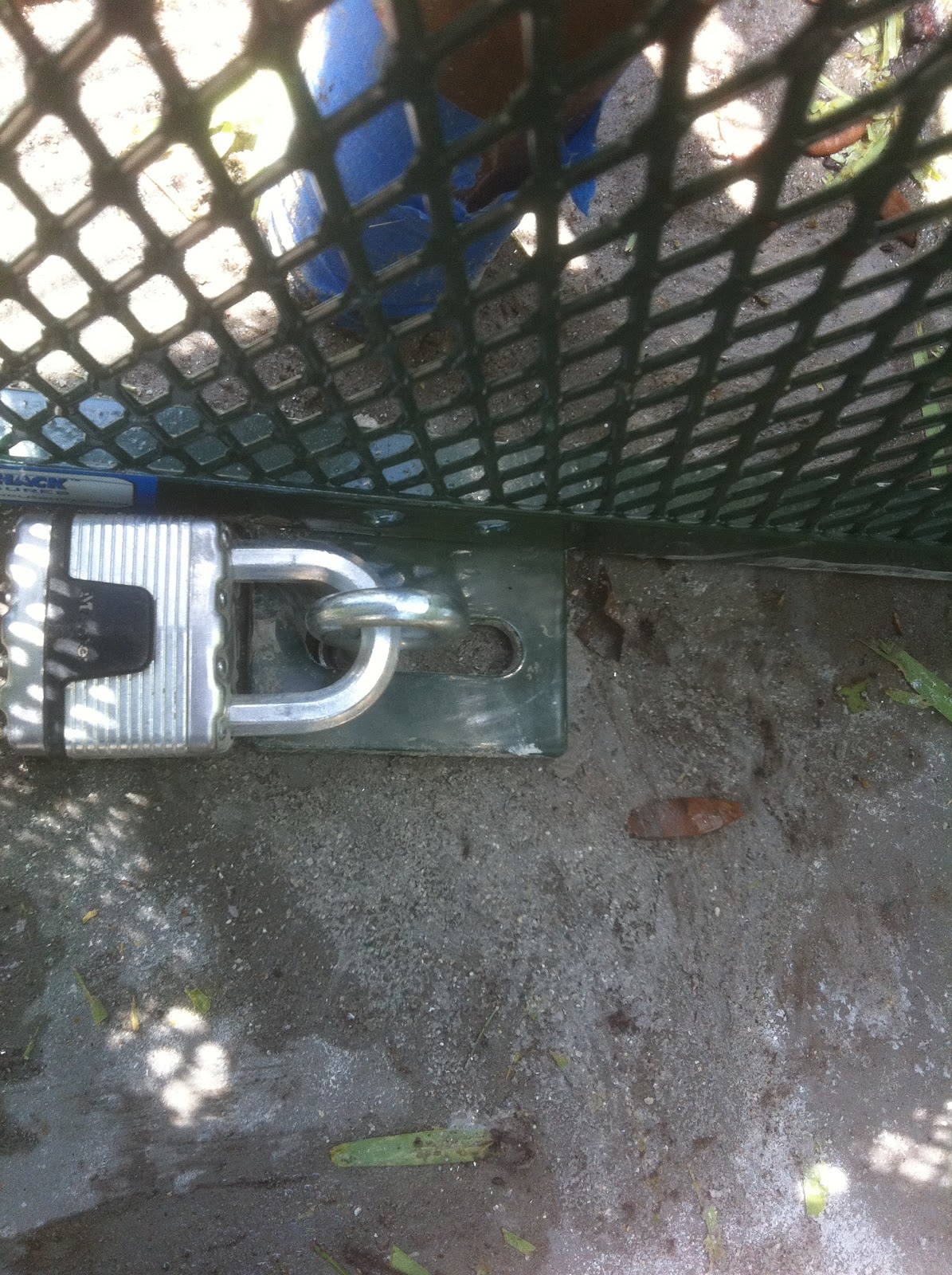 GreenTeam Service Corp: Backflow Preventer Project!