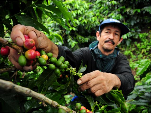 Aprueban proyecto que incorpora a la selva en alcances de Sierra Exportadora