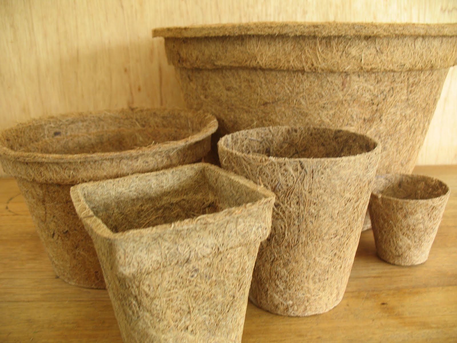 Fiber pots for planting