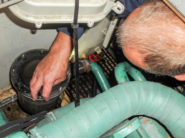 Fitting the new gasket to the water filter Photo of fitting the new gasket to the water filter
