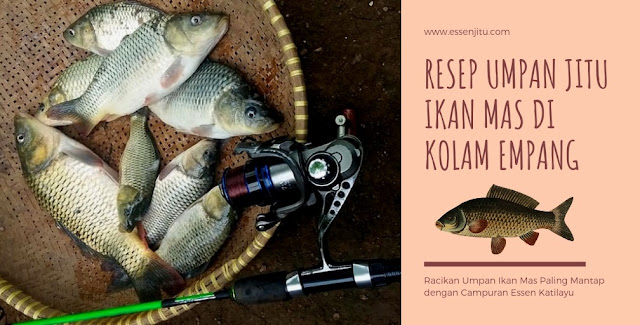 Umpan Jitu Ikan Mas di Empang ~ Jual Aquatic Essen