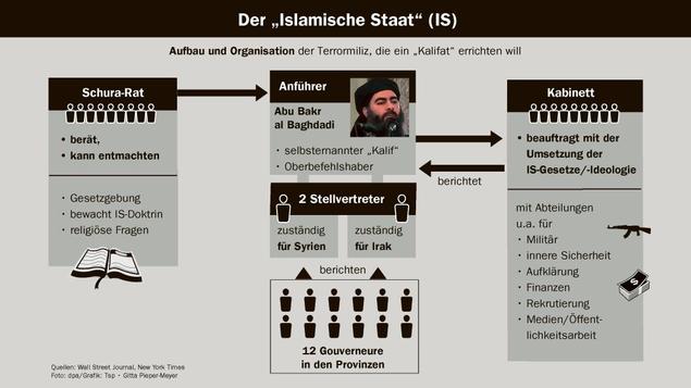 Islamischer-Staat: Islamischer Staat (Organisation)