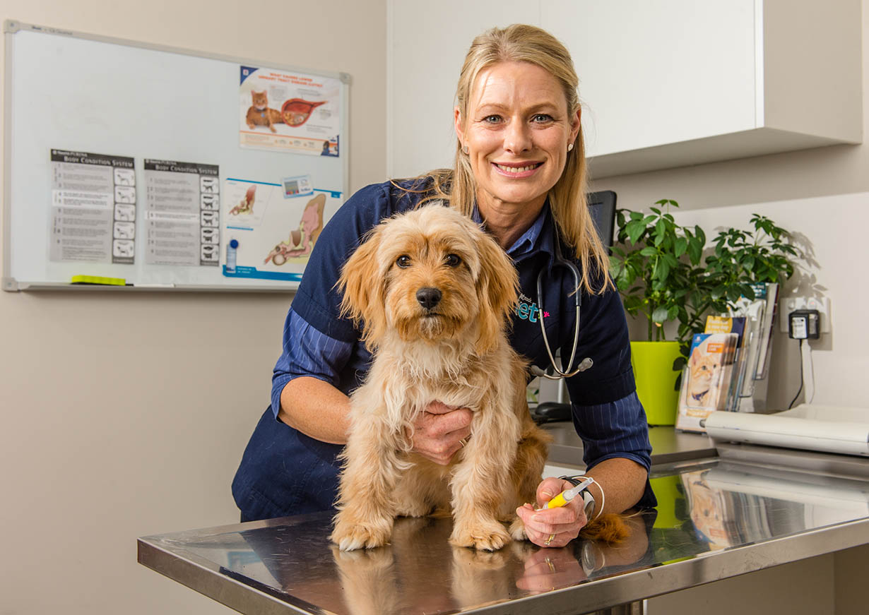 PETstock National Microchip Blitz Oct 2021 Australian Dog Lover