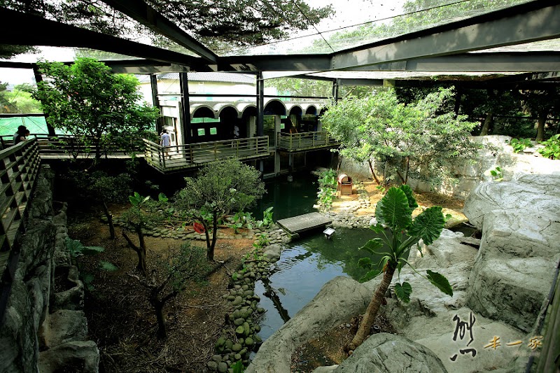 新竹親子遊|新竹市立動物園~有日本奈良賞鹿的Fu