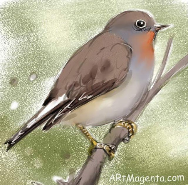 Red-breasted Flycatcher Red breasted Flycatcher, a bird sketch by Arrtmagenta
