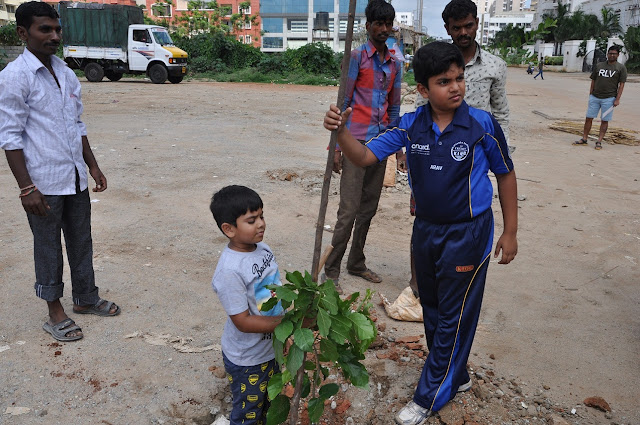 RESIDENTS TURN GREEN AMBASSADORS On A Green Drive: Residents Team Up To Plant Saplings
