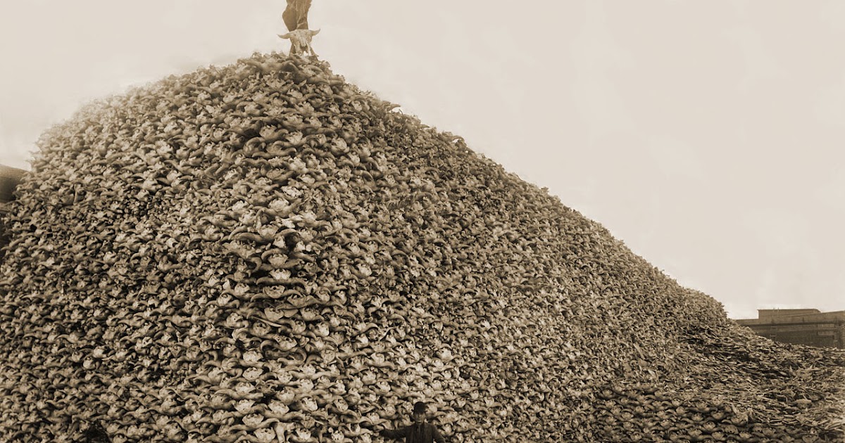 Massachusetts Law Updates Endagered Species Protection a history