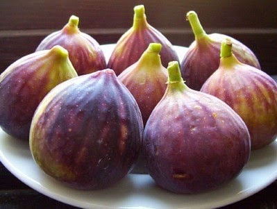 INFO TENTANG BUAH TIN / ZAITUN http://tipspetani.blogspot.com/2016/05/info-tentang-buah-tin-zaitun.html