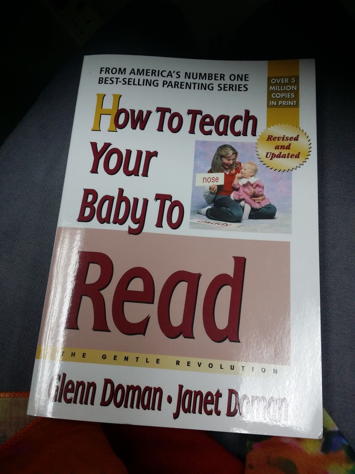 Ini Blog Saya Cara Mengajar Anak Membaca Menggunakan Teknik Glenn Doman Part 1