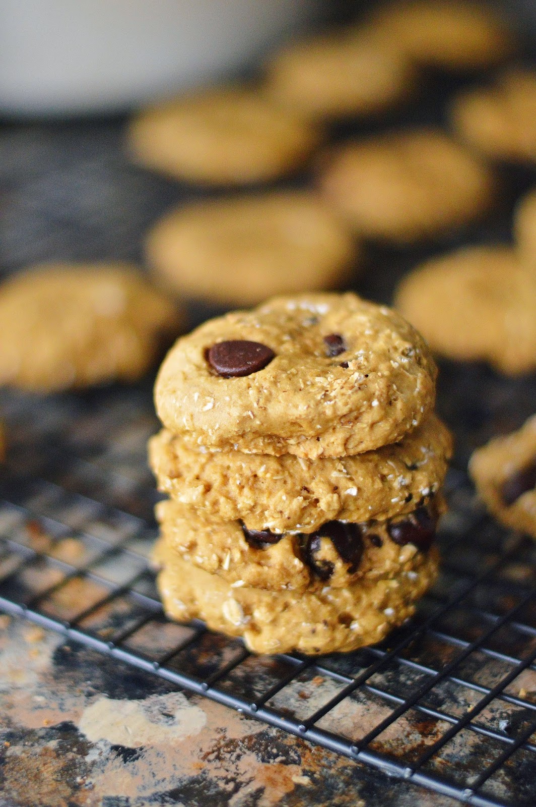 The Art of Comfort Baking Banana Chocolate Chip Breakfast Cookies