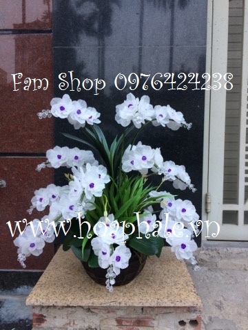 Cửa hàng hoa pha lê tại Cầu Giấy Cua hang hoa pha le tai Cau Giay