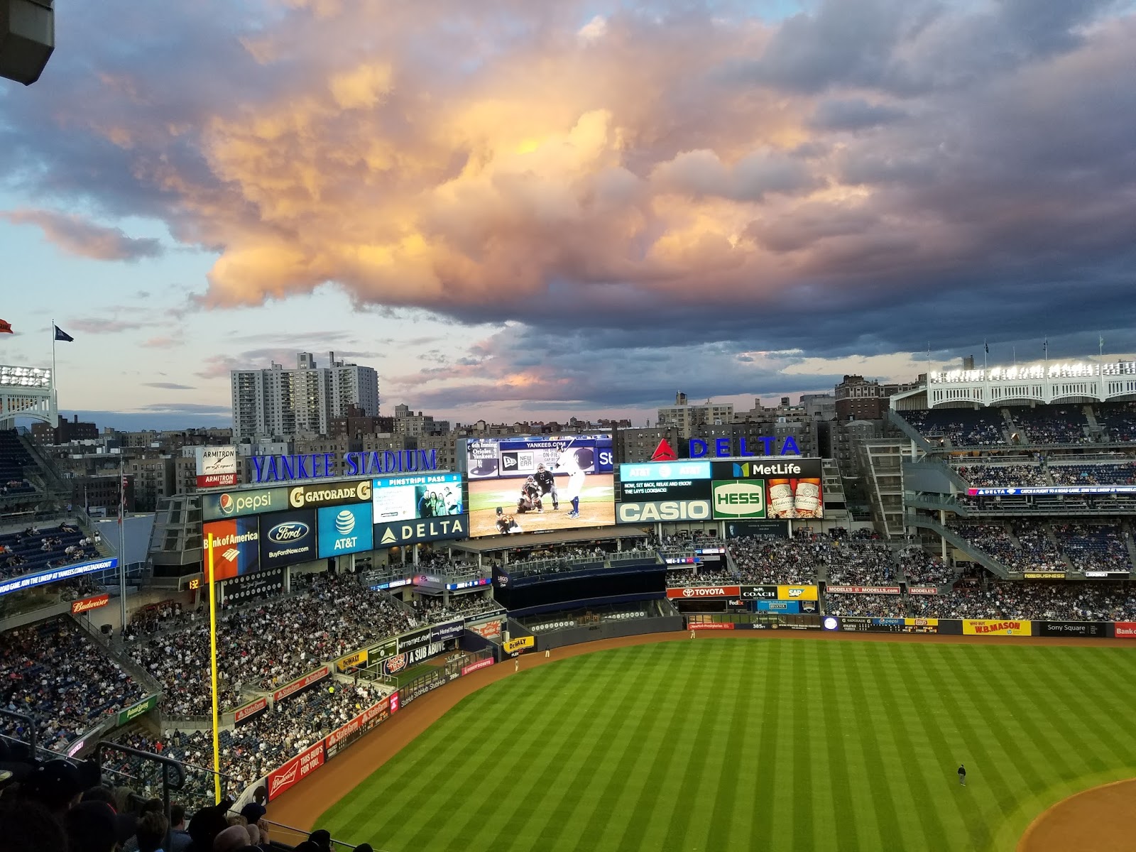 Traveling Baseball Babes Yankees vs. Athletics 52617