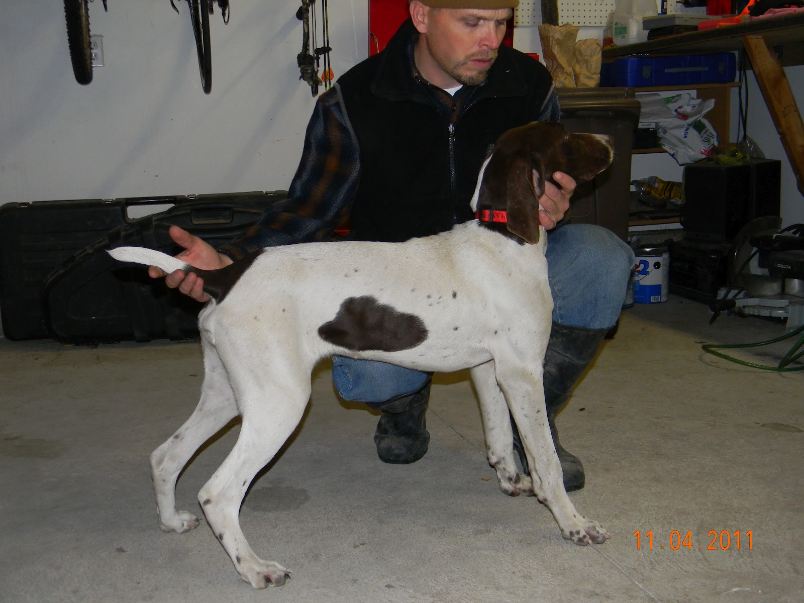 Gunsight Kennels 2012