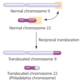 Aneuploidy : monosomi dan trisomi serta Penyakit yang Ditimbulkannya, Mekanisme Terjadinya Aneuploidy (Monosomi dan Trisomi), Penyakit Akibat Aneuploidy (monosomi dan trisomi), mutasi kromosom, nondisjunction adalah, aneuploidy adalah, monosomi adalah, down syndrome adalah, trisomi 21 adalah, peluang terkena down syndrome, Klinefelter syndrome adalah, genotipe XYY, genotipe XXX, Turner syndrome adalah, Delesi adalah, Duplikasi adalah, Inversi adalah, Translokasi adalah,  Sindrom cri du chat (“cry of the cat”) adalah, chronic myelogenous leukemia (CML) adalah