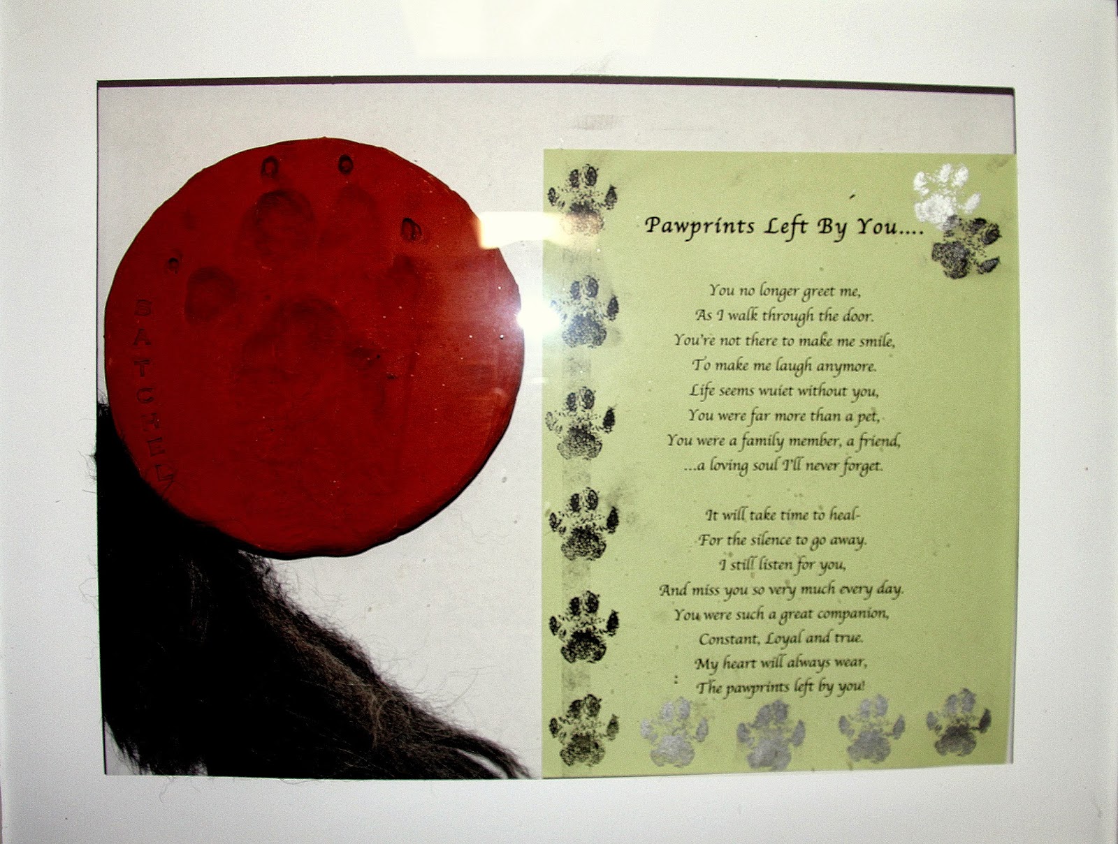 meet-the-karazans-pawprints-left-by-you