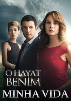 Novela Minha Vida