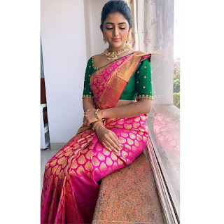 Eesha Rebba Beautiful Traditional Saree Photos Eesha Rebba Beautiful Traditional Saree Photos