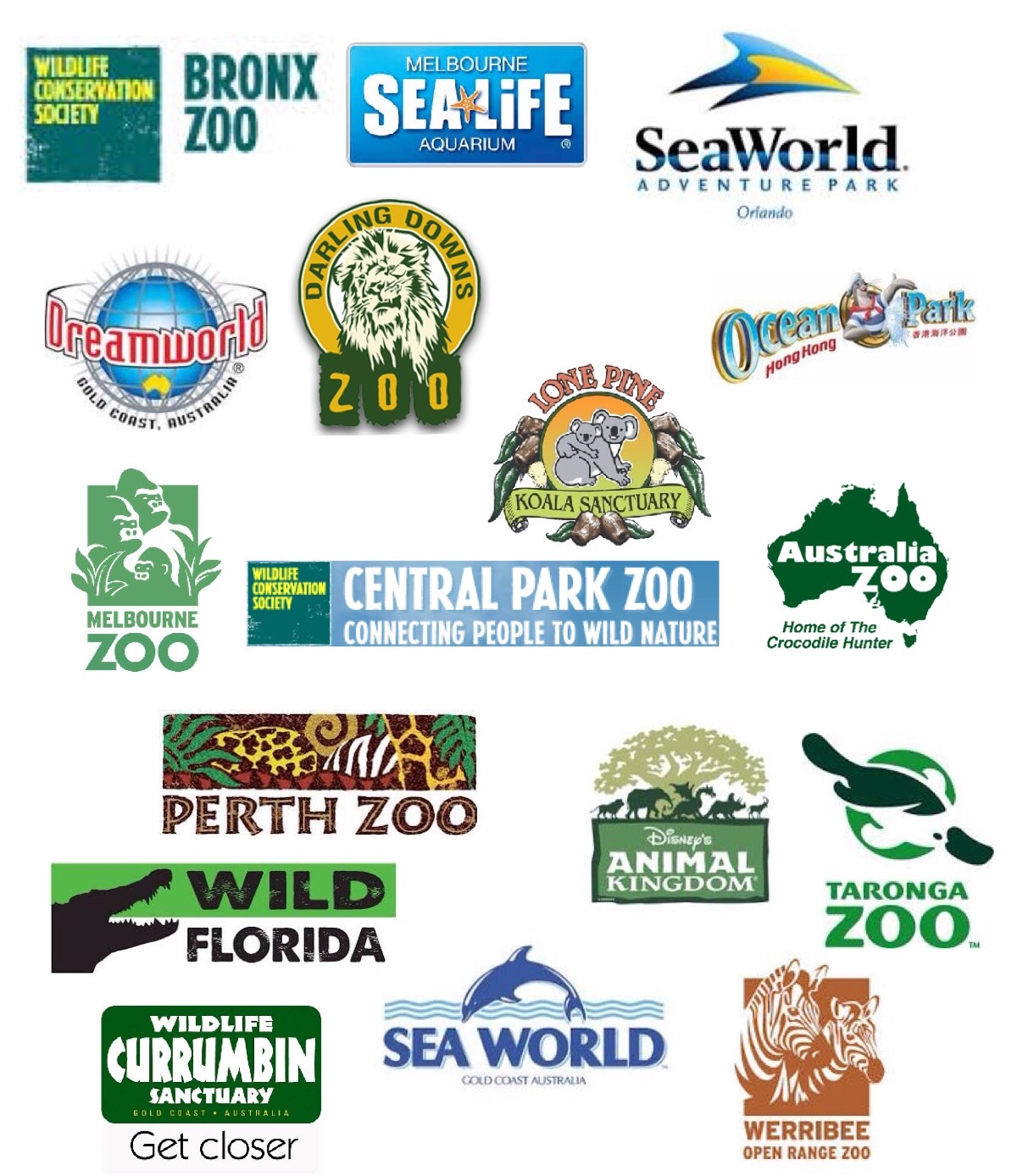 Stu the Zoo Zoo Reviews