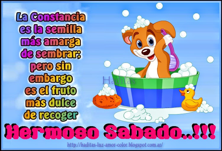 feliz sábado lleno de color y armonía y amor y disfrute nuestro ultimo sábado del año y que feliz sábado lleno de color y armonía y amor y disfrute nuestro ultimo sábado del año y que