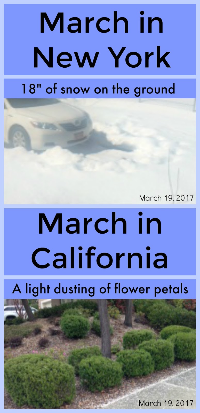 Paula's Primary Classroom The Difference between New York and