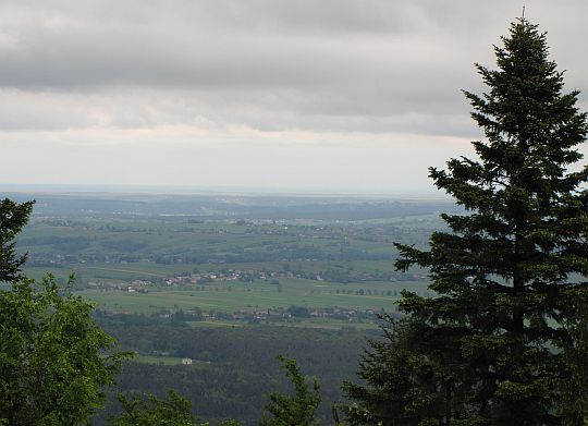Północna panorama z Łysicy.