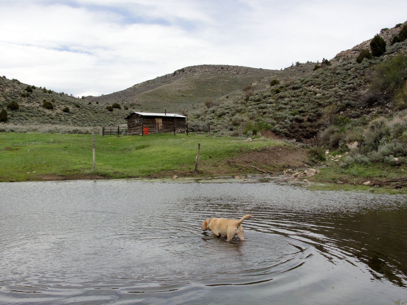 Janie and Steve, Utah Trails The Meaning of Life