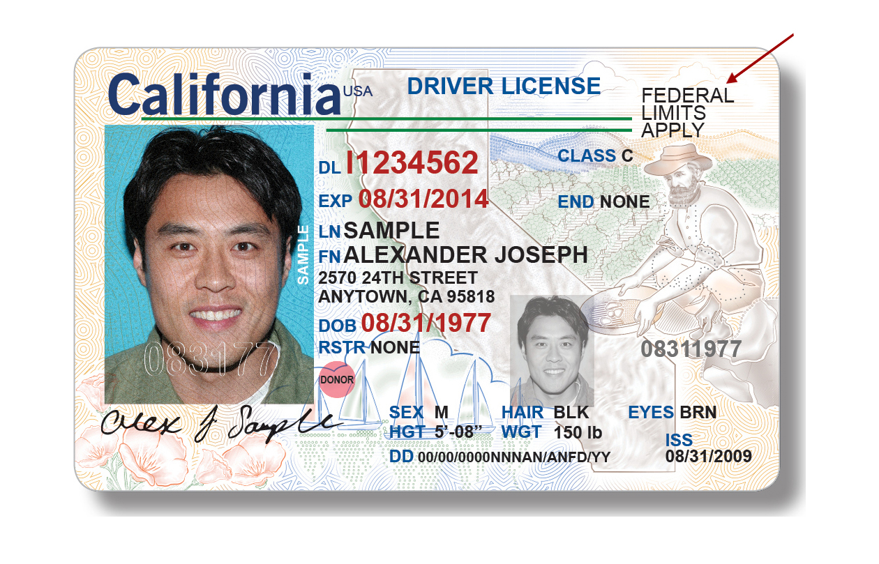 How to Get a California Driver's License