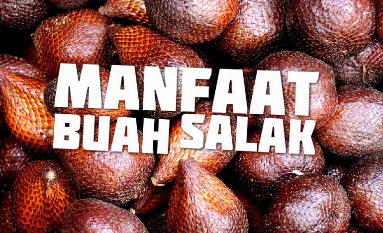 Beberapa Manfaat Buah Salak Bagi Kesehatan Beberapa Manfaat Buah Salak Bagi Kesehatan