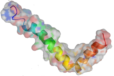 Proteina amiloide origine vita sulla Terra