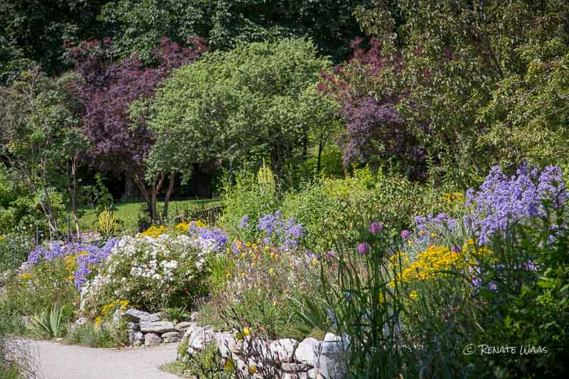 Gartenblog GeniesserGarten endlich Sommer!