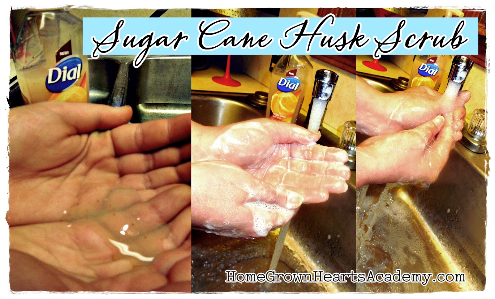 Home Grown Hearts Academy Homeschool Blog Dial® Sugar Cane Husk Scrub Hand Soap Review and Giveaway