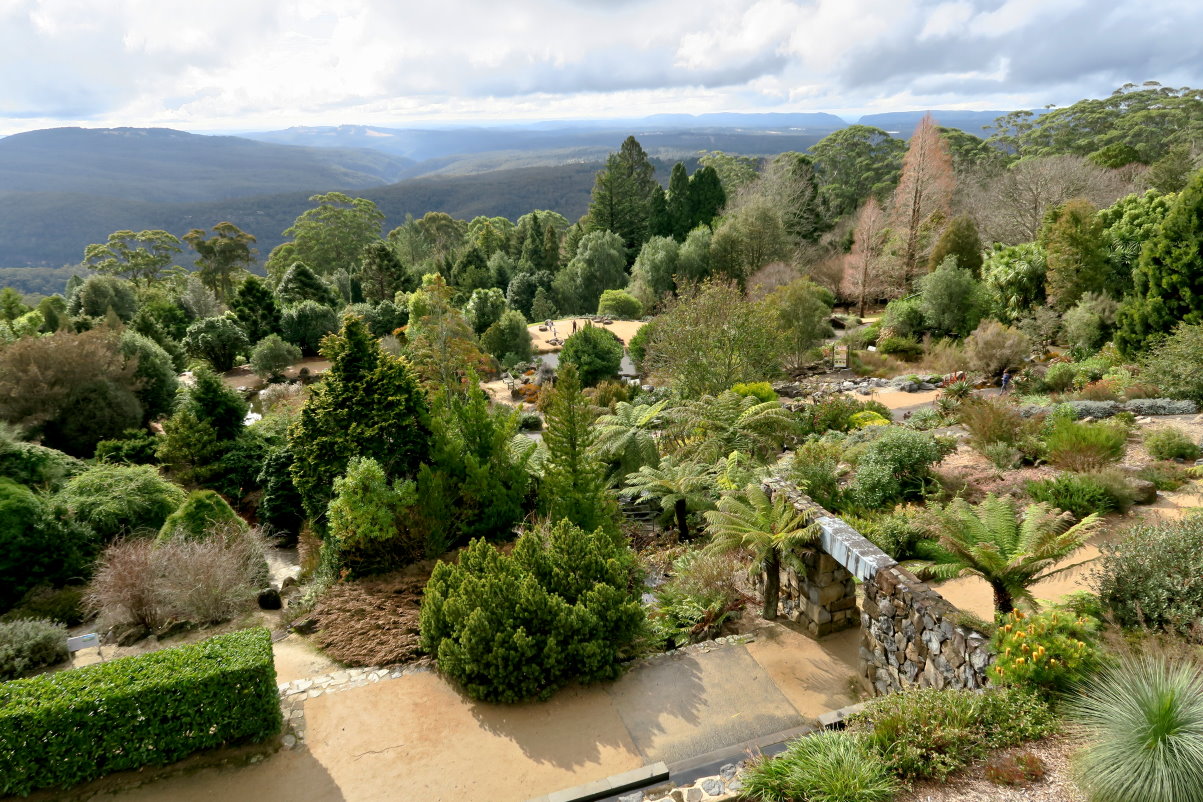 Mountains Walls Lookout & Blue Mts Botanic Garden, NSW Blue Mts, Australia