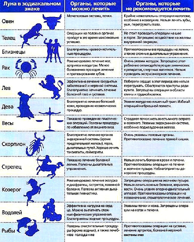 Праздник детские забавы