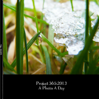 My Project 365:2013 Photo Book