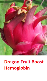 Dragon Fruit Boost Hemoglobin Dragon Fruit Boost Hemoglobin