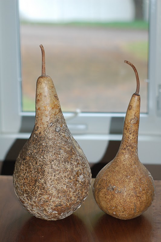 Busy Days Worthwhile How to Dry Gourds for Crafts or Decoration