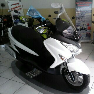 Suzuki Brugman