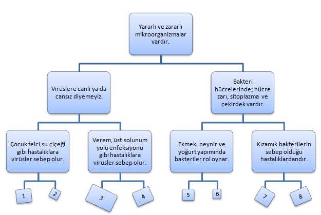 6. Sinif Fen ve Teknoloji 2. Dönem 2. Yazılı Sınav Soruları 2012 2013